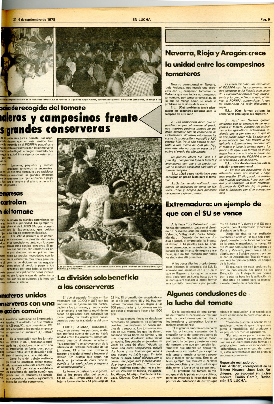 ORT-UJMENLUCHA
