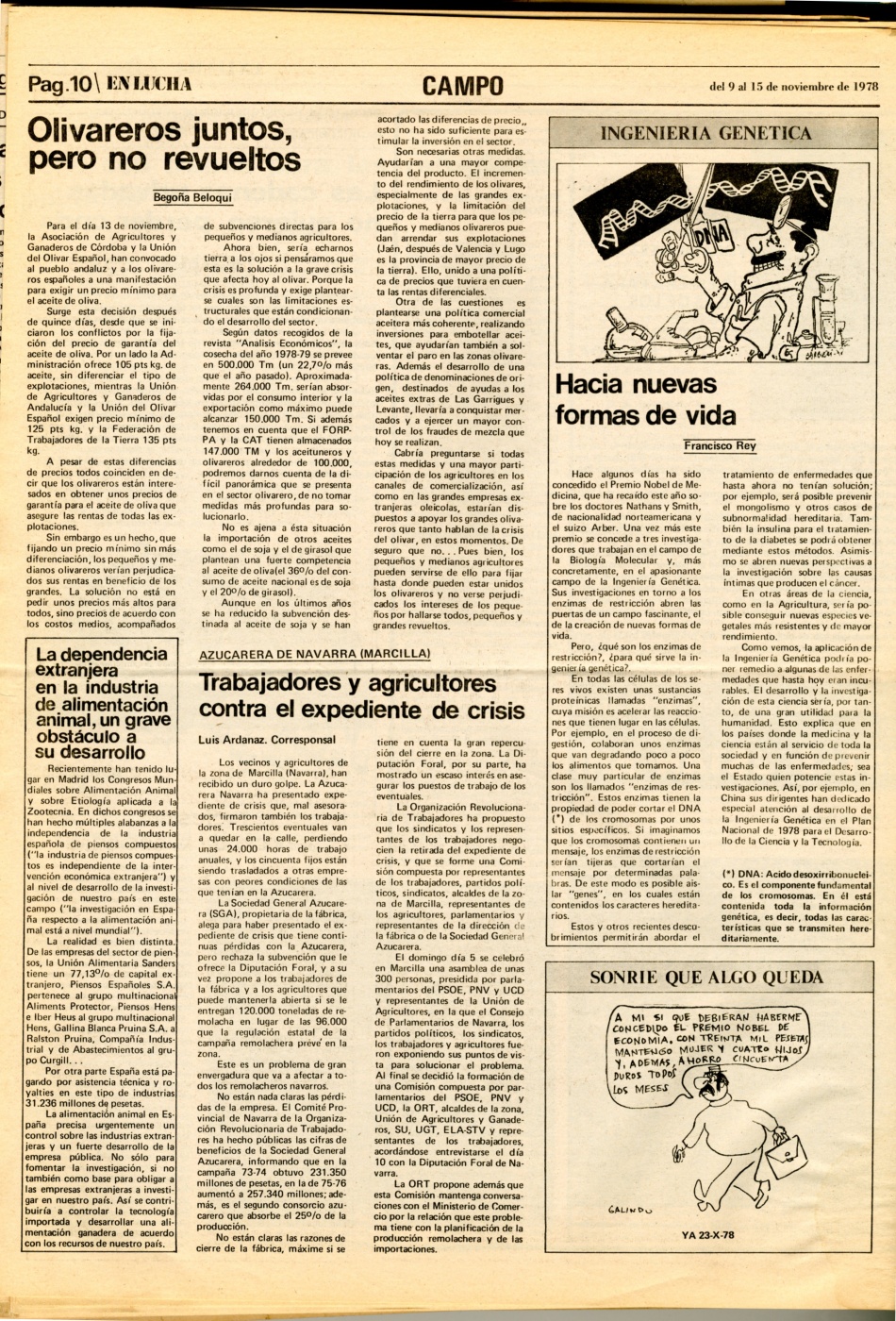 ORT-UJMENLUCHA